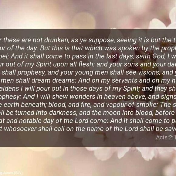 Meet your Posher, Ruby - Picture 2 of 2